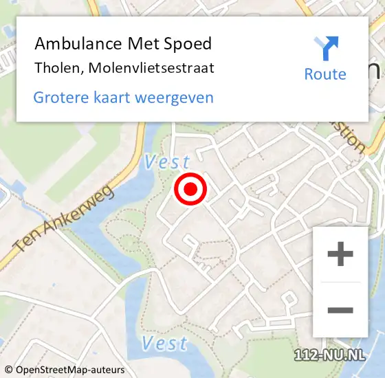 Locatie op kaart van de 112 melding: Ambulance Met Spoed Naar Tholen, Molenvlietsestraat op 9 juli 2017 13:22