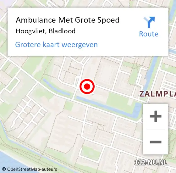 Locatie op kaart van de 112 melding: Ambulance Met Grote Spoed Naar Hoogvliet, Bladlood op 20 juli 2017 20:26