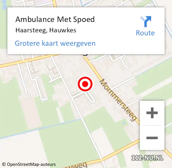 Locatie op kaart van de 112 melding: Ambulance Met Spoed Naar Haarsteeg, Hauwkes op 1 september 2017 13:28