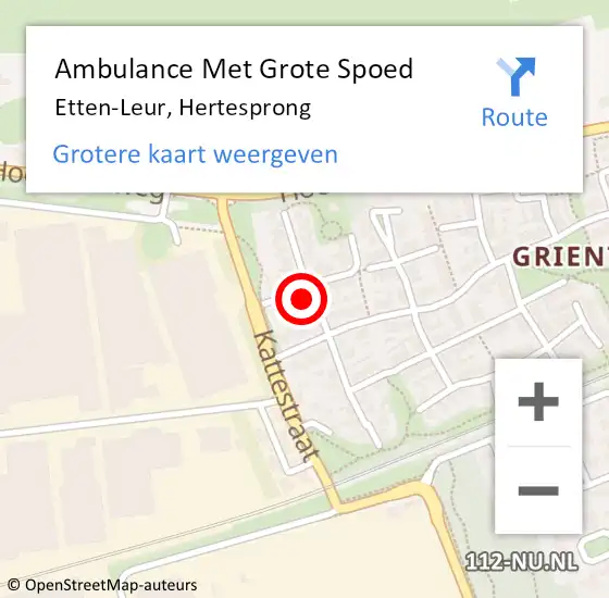 Locatie op kaart van de 112 melding: Ambulance Met Grote Spoed Naar Etten-Leur, Hertesprong op 20 oktober 2017 17:20