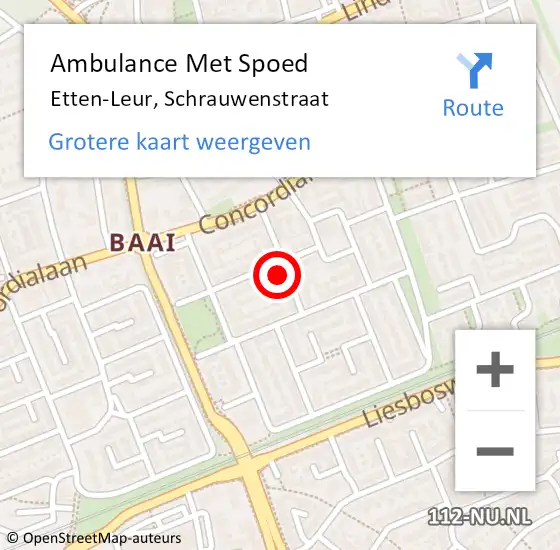 Locatie op kaart van de 112 melding: Ambulance Met Spoed Naar Etten-Leur, Schrauwenstraat op 9 november 2017 09:48