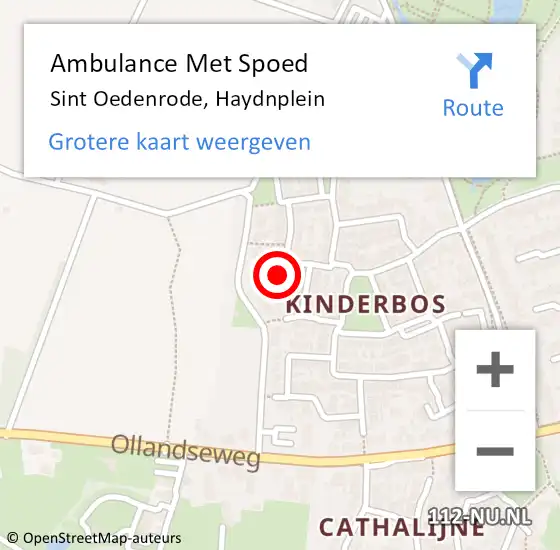 Locatie op kaart van de 112 melding: Ambulance Met Spoed Naar Sint Oedenrode, Haydnplein op 21 januari 2018 18:44