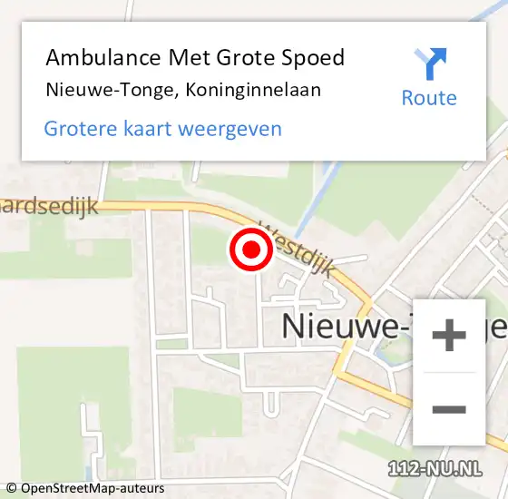 Locatie op kaart van de 112 melding: Ambulance Met Grote Spoed Naar Nieuwe-Tonge, Koninginnelaan op 14 februari 2014 09:58