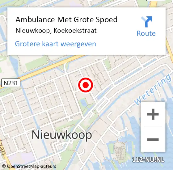 Locatie op kaart van de 112 melding: Ambulance Met Grote Spoed Naar Nieuwkoop, Koekoekstraat op 30 januari 2018 19:48