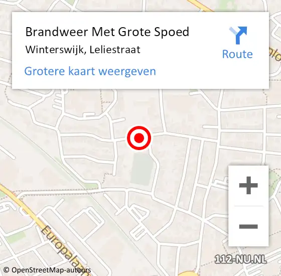 Locatie op kaart van de 112 melding: Brandweer Met Grote Spoed Naar Winterswijk, Leliestraat op 24 februari 2014 12:08