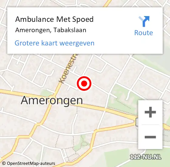 Locatie op kaart van de 112 melding: Ambulance Met Spoed Naar Amerongen, Tabakslaan op 29 juli 2018 02:38