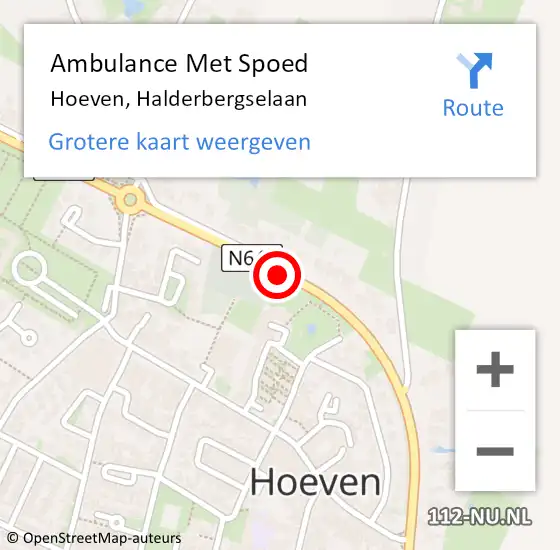 Locatie op kaart van de 112 melding: Ambulance Met Spoed Naar Hoeven, Halderbergselaan op 25 januari 2019 02:50