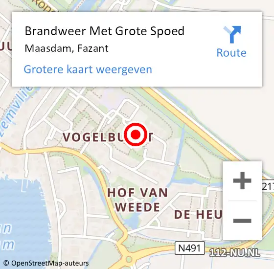 Locatie op kaart van de 112 melding: Brandweer Met Grote Spoed Naar Maasdam, Fazant op 4 maart 2019 23:01