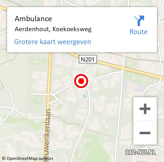 Locatie op kaart van de 112 melding: Ambulance Aerdenhout, Koekoeksweg op 9 maart 2019 17:16