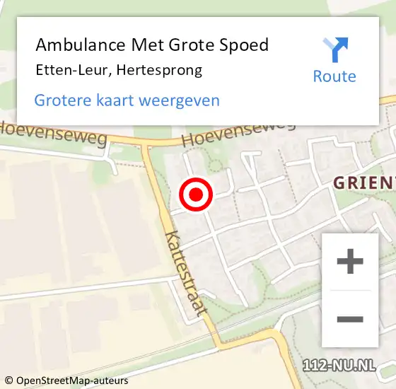 Locatie op kaart van de 112 melding: Ambulance Met Grote Spoed Naar Etten-Leur, Hertesprong op 17 maart 2019 17:18