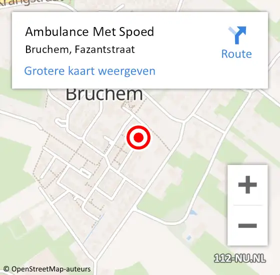 Locatie op kaart van de 112 melding: Ambulance Met Spoed Naar Bruchem, Fazantstraat op 14 april 2019 21:22