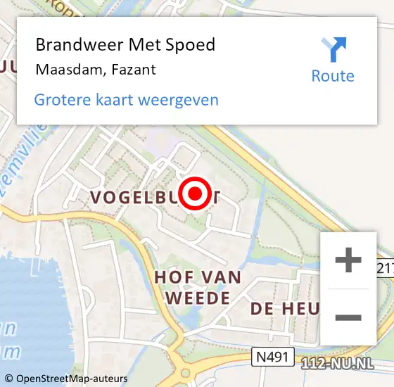 Locatie op kaart van de 112 melding: Brandweer Met Spoed Naar Maasdam, Fazant op 17 april 2019 09:31