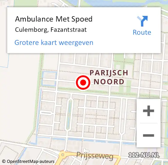 Locatie op kaart van de 112 melding: Ambulance Met Spoed Naar Culemborg, Fazantstraat op 10 juni 2019 23:12