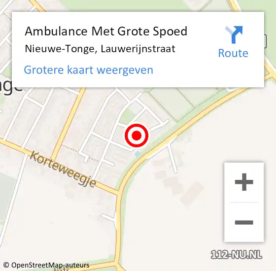 Locatie op kaart van de 112 melding: Ambulance Met Grote Spoed Naar Nieuwe-Tonge, Lauwerijnstraat op 13 april 2014 18:05