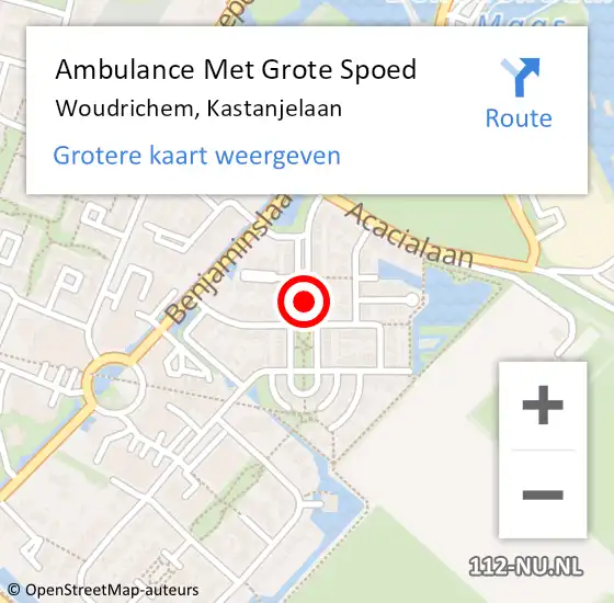 Locatie op kaart van de 112 melding: Ambulance Met Grote Spoed Naar Woudrichem, Kastanjelaan op 14 oktober 2019 00:41