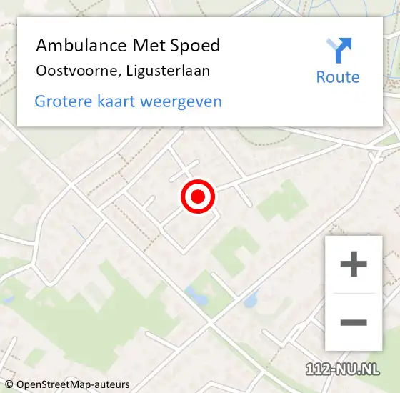 Locatie op kaart van de 112 melding: Ambulance Met Spoed Naar Oostvoorne, Ligusterlaan op 21 maart 2020 12:17