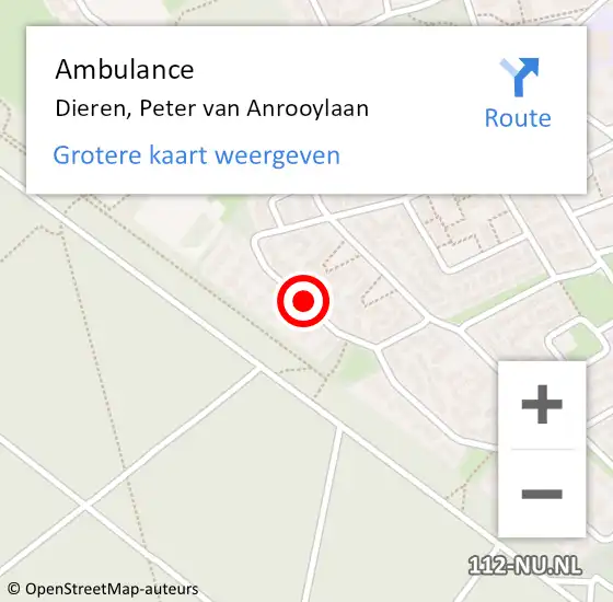 Locatie op kaart van de 112 melding: Ambulance Dieren, Peter van Anrooylaan op 23 maart 2020 15:56