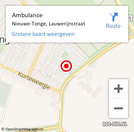 Locatie op kaart van de 112 melding: Ambulance Nieuwe-Tonge, Lauwerijnstraat op 24 maart 2020 11:09