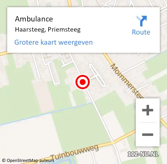 Locatie op kaart van de 112 melding: Ambulance Haarsteeg, Priemsteeg op 19 juni 2020 11:52
