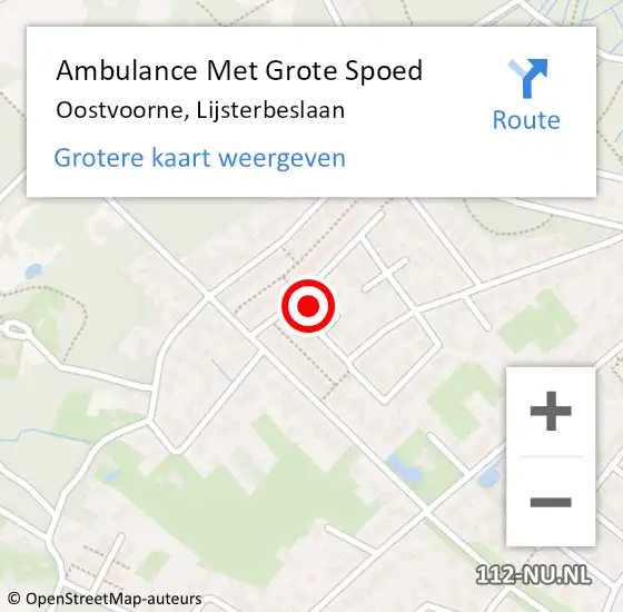 Locatie op kaart van de 112 melding: Ambulance Met Grote Spoed Naar Oostvoorne, Lijsterbeslaan op 21 mei 2014 17:28