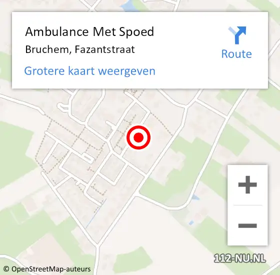 Locatie op kaart van de 112 melding: Ambulance Met Spoed Naar Bruchem, Fazantstraat op 6 juni 2021 09:02